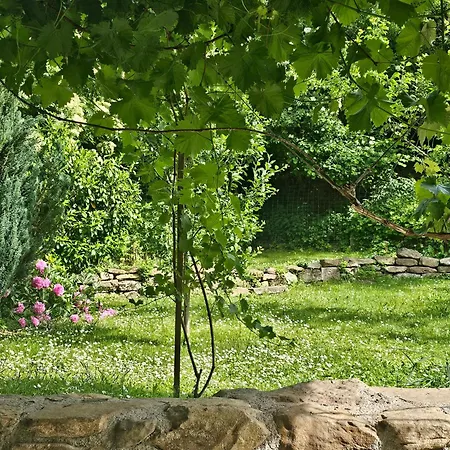 Apartman Kapolcsi Kuckó *